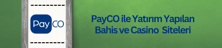 payco ile yatırım yapılan siteler