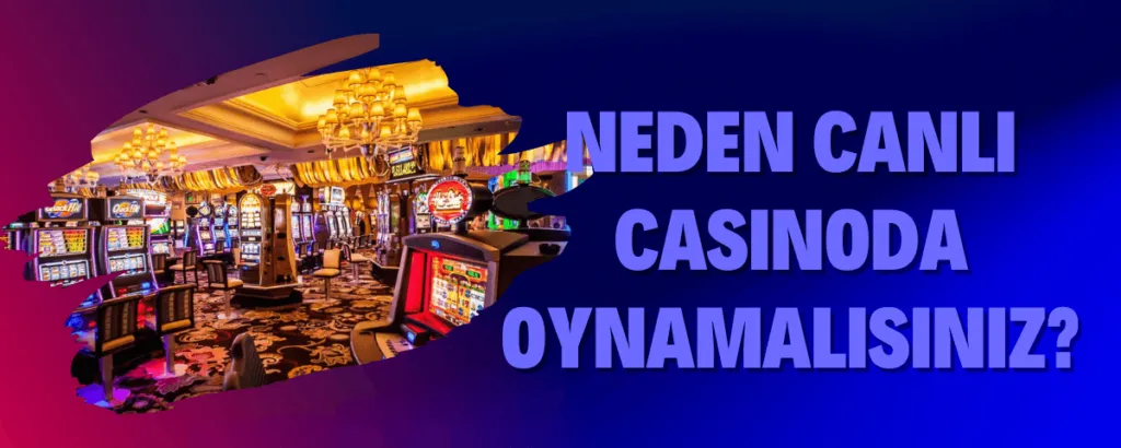 neden online casino